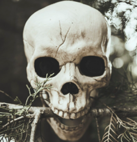 holly-skull